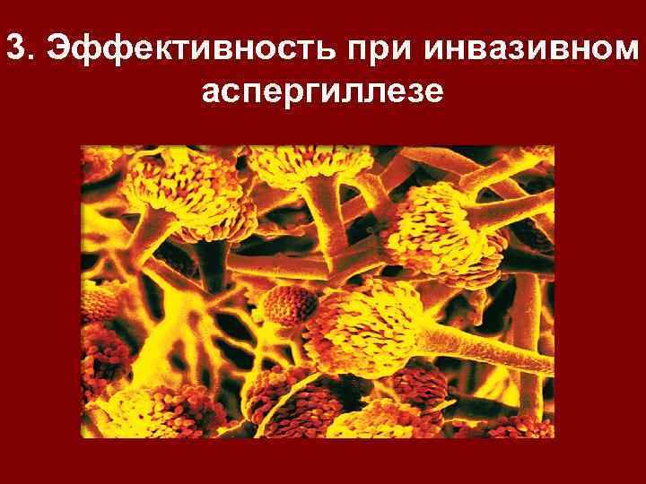 3. Эффективность при инвазивном аспергиллезе 