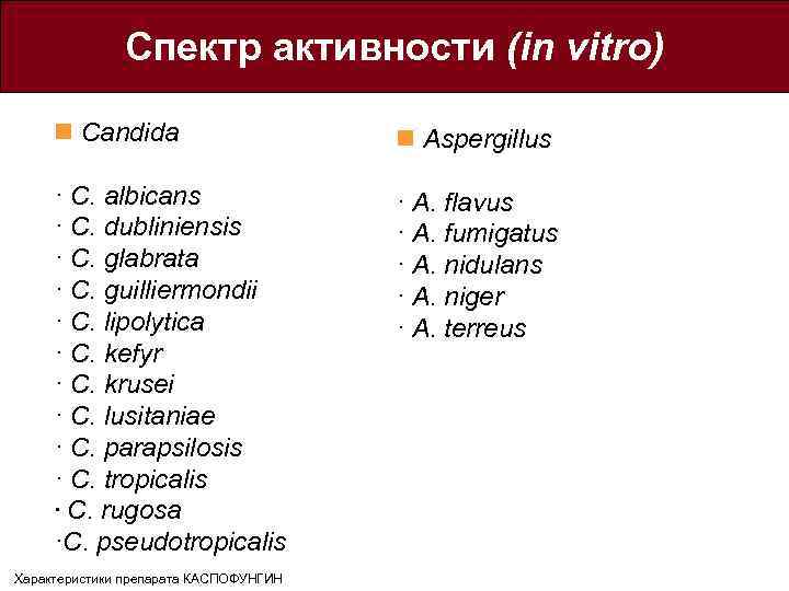 Спектр активности (in vitro) n Candida n Aspergillus · C. albicans · C. dubliniensis