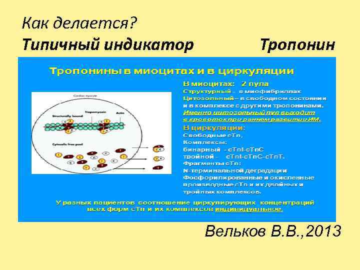 Как делается? Типичный индикатор Тропонин Вельков В. В. , 2013 