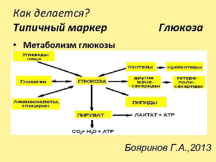 Как делается? Типичный маркер Глюкоза • Метаболизм глюкозы Бояринов Г. А. , 2013 