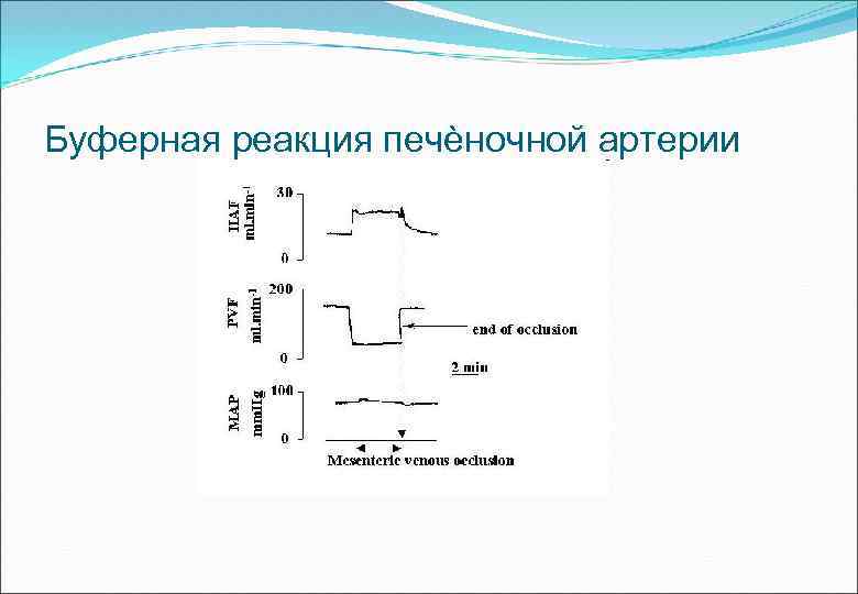 Буферная реакция печѐночной артерии 