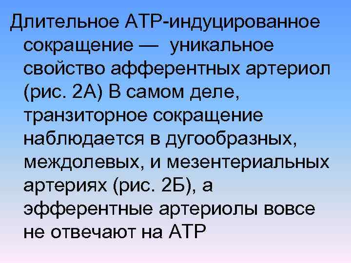 Длительное АТР индуцированное сокращение — уникальное свойство афферентных артериол (рис. 2 А) В самом