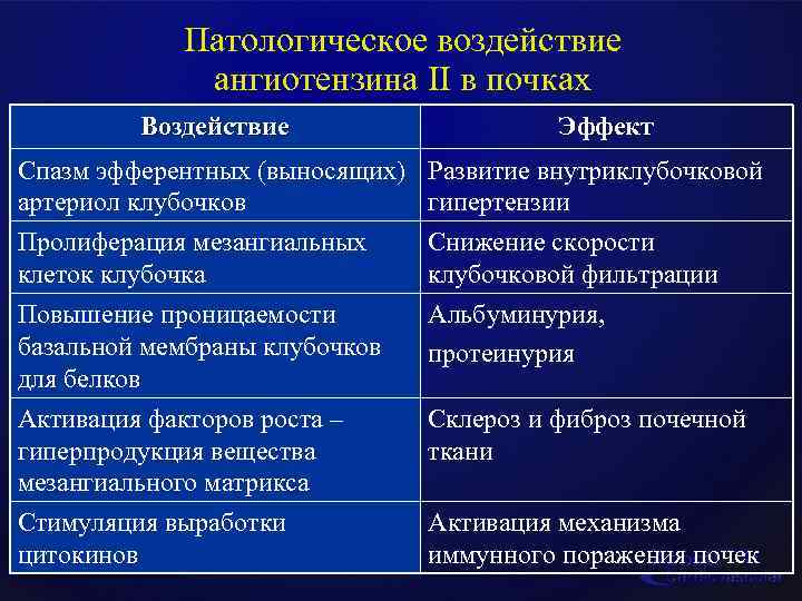 Патологическое воздействие ангиотензина II в почках Воздействие Эффект Спазм эфферентных (выносящих) Развитие внутриклубочковой артериол