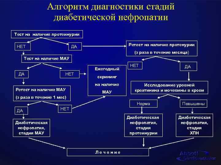 Алгоритм диагностики стадий диабетической нефропатии Тест на наличие протеинурии НЕТ Ретест на наличие протенурии