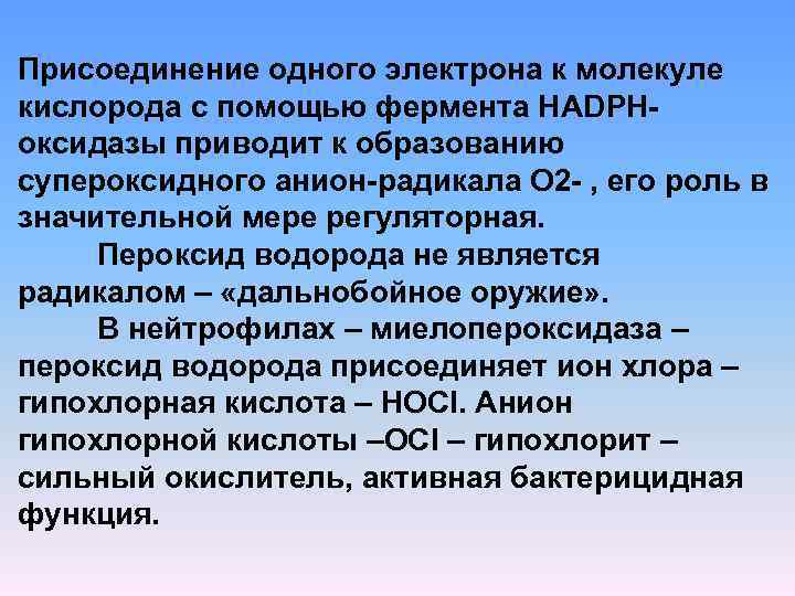 Присоединение одного электрона к молекуле кислорода с помощью фермента НАDPH оксидазы приводит к образованию