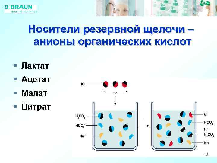 Носители резервной щелочи – анионы органических кислот § Лактат § Ацетат § Малат §