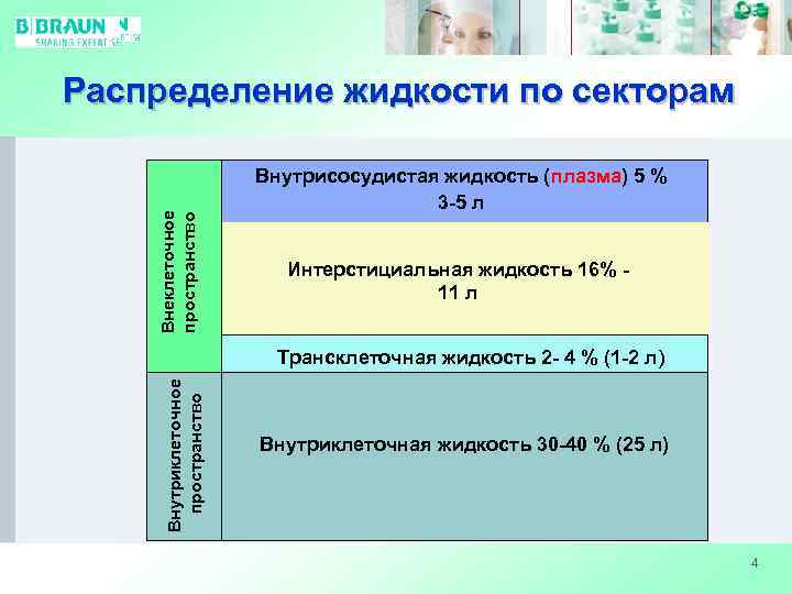 Внеклеточное пространство Распределение жидкости по секторам Внутрисосудистая жидкость (плазма) 5 % 3 -5 л