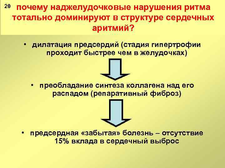 20 почему наджелудочковые нарушения ритма тотально доминируют в структуре сердечных аритмий? • дилатация предсердий