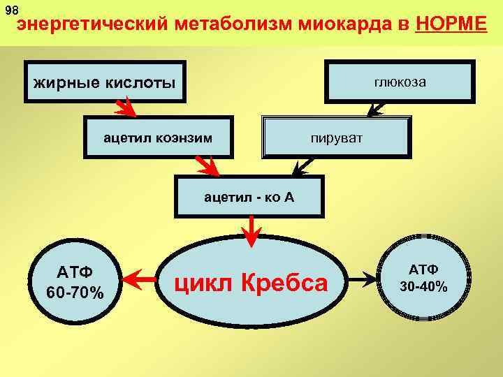 98 энергетический метаболизм миокарда в НОРМЕ жирные кислоты глюкоза ацетил коэнзим пируват ацетил ко