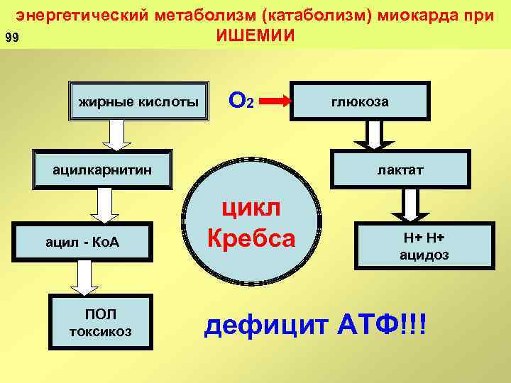 энергетический метаболизм (катаболизм) миокарда при ИШЕМИИ 99 жирные кислоты О 2 ацилкарнитин ацил Ко.