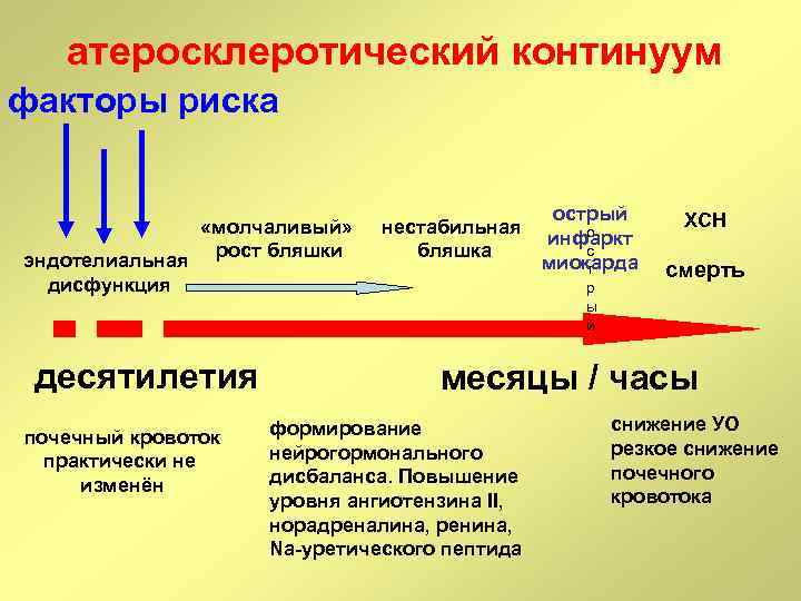 атеросклеротический континуум факторы риска «молчаливый» эндотелиальная рост бляшки дисфункция десятилетия почечный кровоток практически не