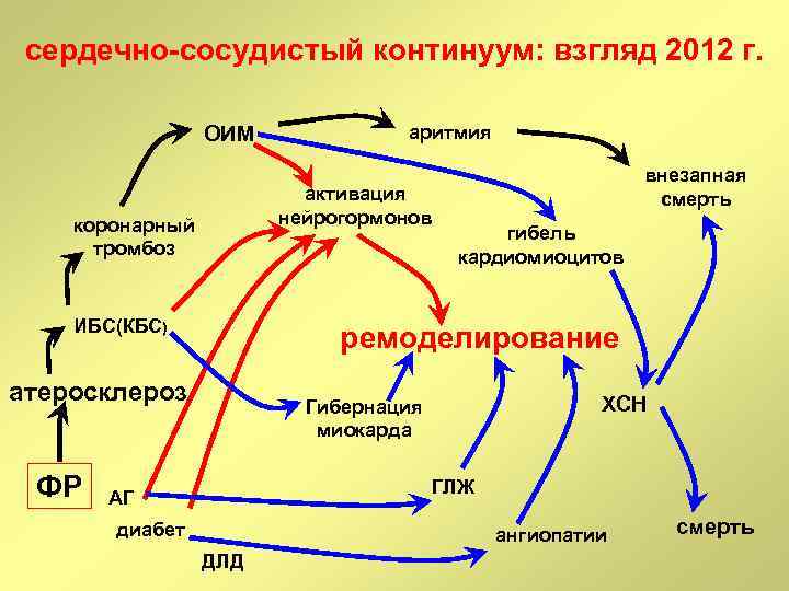 сердечно-сосудистый континуум: взгляд 2012 г. ОИМ активация нейрогормонов коронарный тромбоз ИБС(КБС) внезапная смерть гибель
