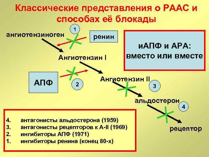 Классическое представление. Ренин ангиотензиновая способы блокады. Блокада РААС. Ренин - ангиотензиновая система способ блокады. Три компонента в блокаде.