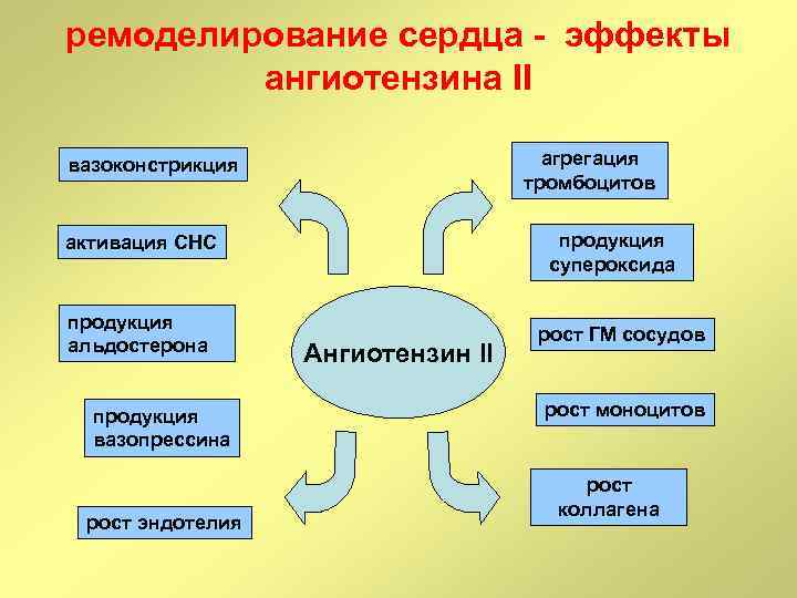 ремоделирование сердца - эффекты ангиотензина II агрегация тромбоцитов вазоконстрикция продукция супероксида активация СНС продукция