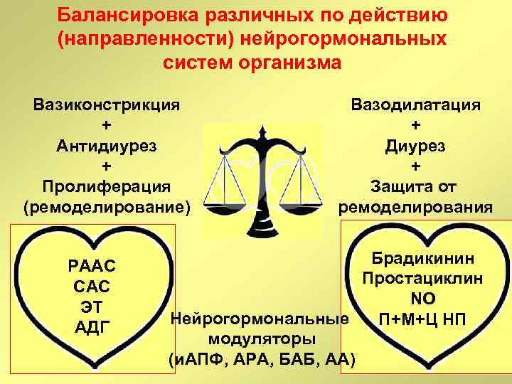 Балансировка различных по действию (направленности) нейрогормональных систем организма Вазиконстрикция + Антидиурез + Пролиферация (ремоделирование)