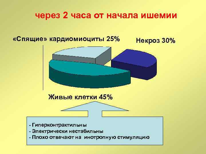 через 2 часа от начала ишемии «Спящие» кардиомиоциты 25% Некроз 30% Живые клетки 45%