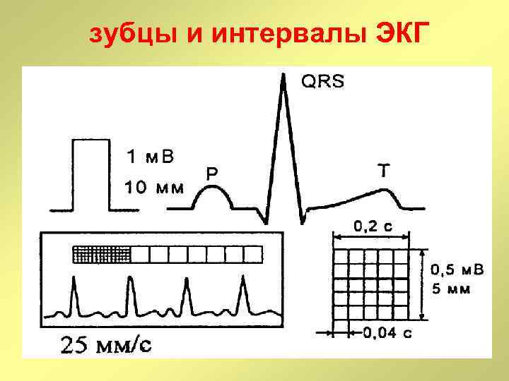 Интервалы экг