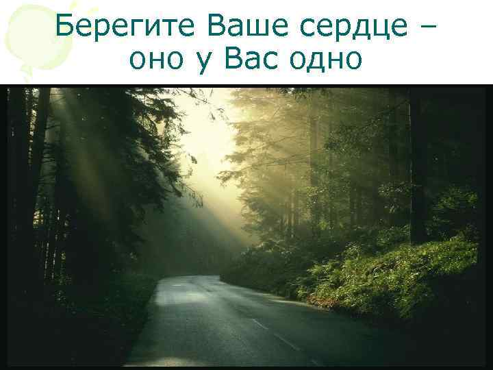 Берегите Ваше сердце – оно у Вас одно 