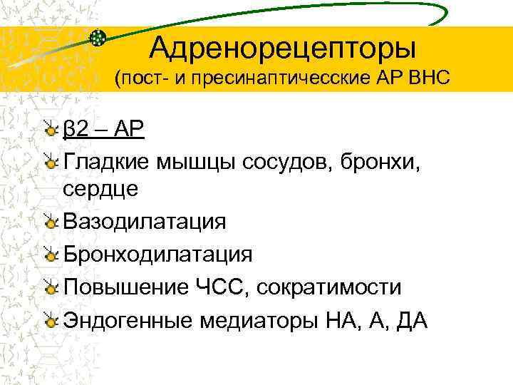 Адренорецепторы (пост- и пресинаптичесские АР ВНС β 2 – АР Гладкие мышцы сосудов, бронхи,