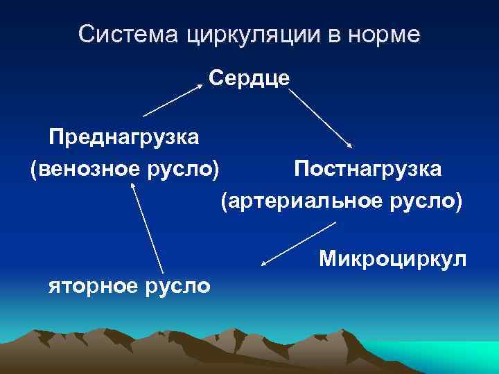 Система циркуляции в норме Сердце Преднагрузка (венозное русло) Постнагрузка (артериальное русло) Микроциркул яторное русло