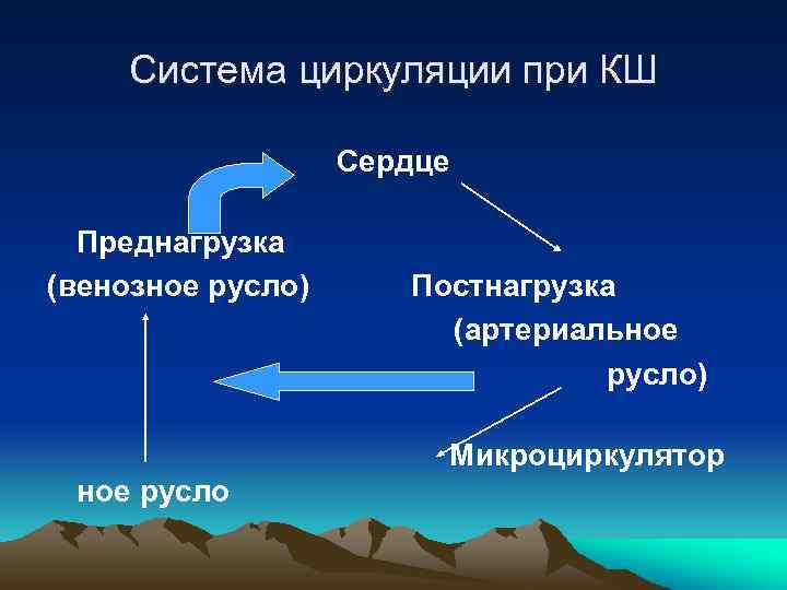 Система циркуляции при КШ Сердце Преднагрузка (венозное русло) Постнагрузка (артериальное русло) Микроциркулятор ное русло