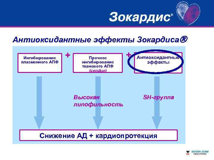 Антиоксидантные эффекты Зокардиса Ингибирование плазменного АПФ + Прочное ингибирование тканевого АПФ (сердце) Высокая липофильность