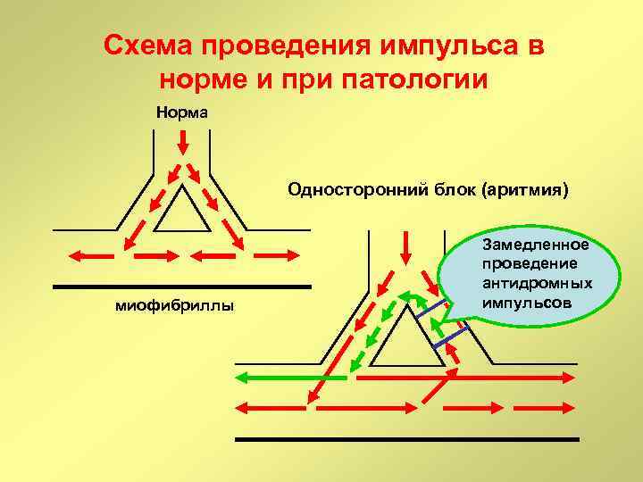 Проводить импульсы