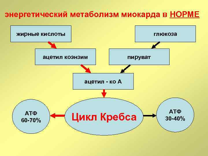 Улучшение метаболизма миокарда