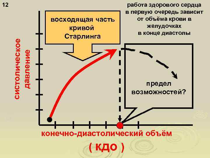 работа здорового сердца в первую очередь зависит от объёма крови в желудочках в конце