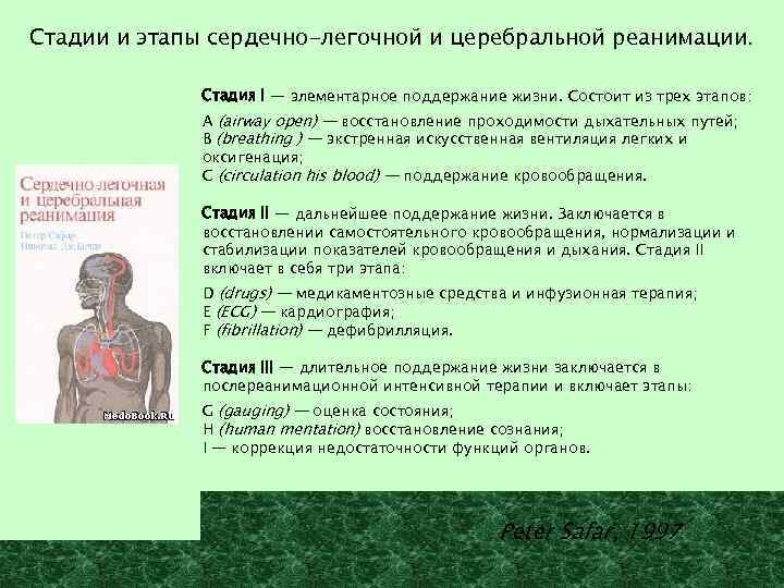 Стадии и этапы сердечно-легочной и церебральной реанимации. Стадия I — элементарное поддержание жизни. Состоит