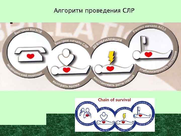 Алгоритм проведения СЛР 