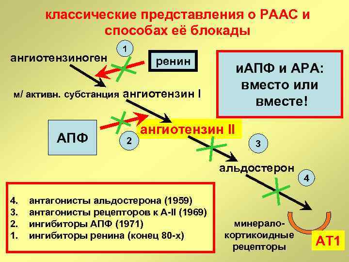 классические представления о РААС и способах её блокады ангиотензиноген 1 ренин и. АПФ и