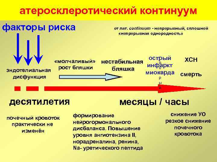 атеросклеротический континуум факторы риска от лат. continuum - непрерывный, сплошной «непрерывная однородность» острый «молчаливый»