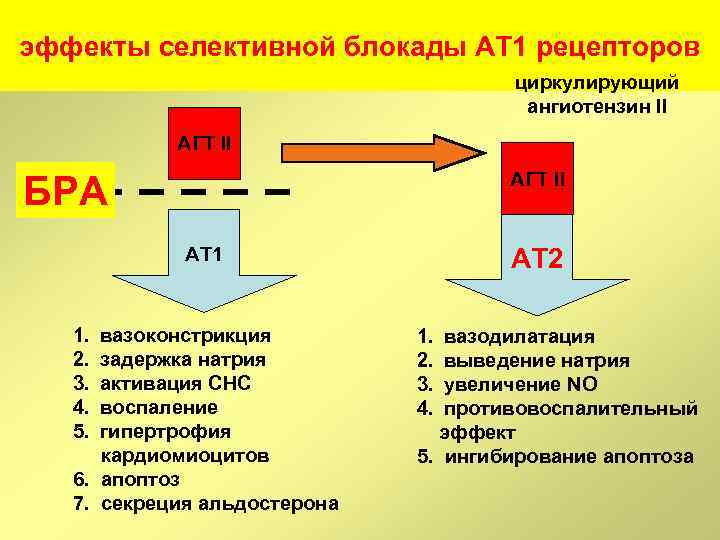 эффекты селективной блокады АТ 1 рецепторов циркулирующий ангиотензин II АГТ II БРА АТ 1