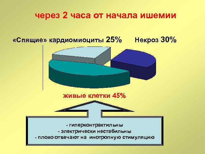 через 2 часа от начала ишемии «Спящие» кардиомиоциты 25% Некроз 30% живые клетки 45%