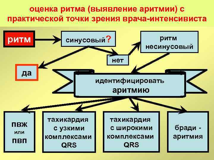 оценка ритма (выявление аритмии) с практической точки зрения врача интенсивиста ритм синусовый? ритм несинусовый