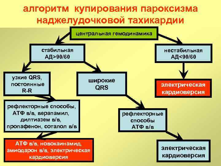 алгоритм купирования пароксизма наджелудочковой тахикардии центральная гемодинамика стабильная АД>90/60 узкие QRS, постоянные R R