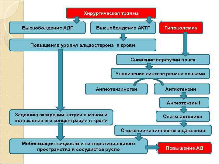 Хирургическая травма Высвобождение АДГ Высвобождение АКТГ Гиповолемия Повышение уровня альдостерона в крови Снижение перфузии