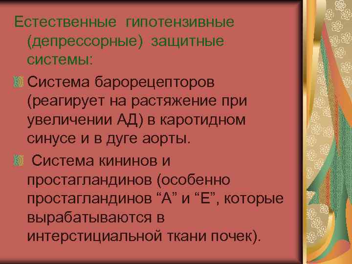 Естественные гипотензивные (депрессорные) защитные системы: Система барорецепторов (реагирует на растяжение при увеличении АД) в