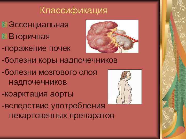 Классификация Эссенциальная Вторичная -поражение почек -болезни коры надпочечников -болезни мозгового слоя надпочечников -коарктация аорты