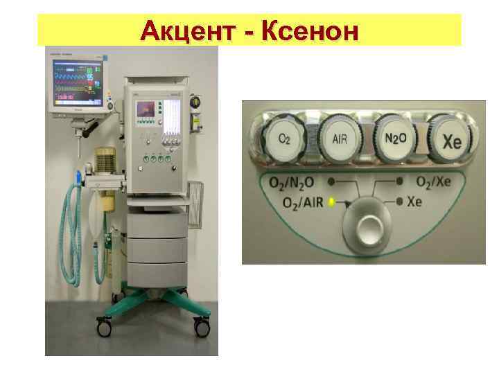 Акцент - Ксенон 