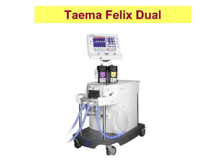 Taema Felix Dual 