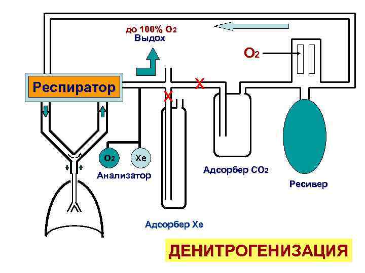 до 100% О 2 Выдох О 2 Респиратор O 2 х х Xe Анализатор