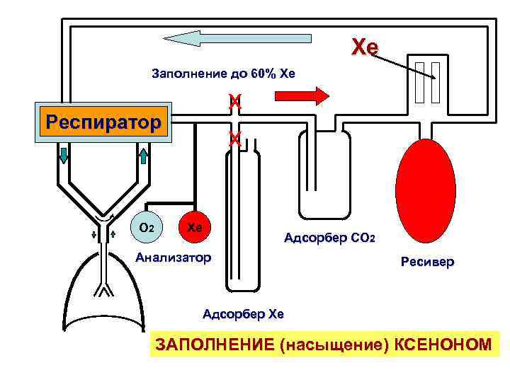 Xe Заполнение до 60% Xe х х Респиратор О 2 Xe Адсорбер СО 2