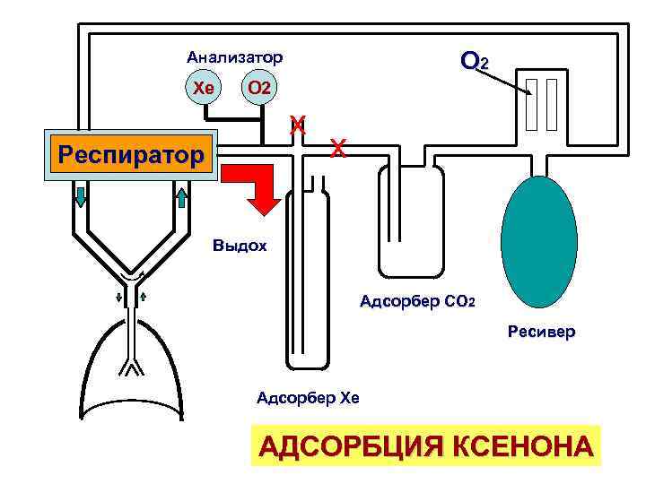 О 2 Анализатор Xe О 2 х Респиратор х Выдох Адсорбер СО 2 Ресивер