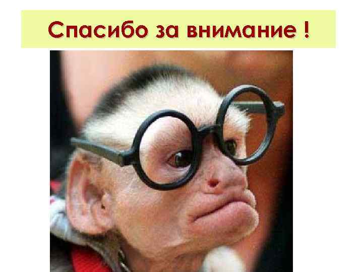 Спасибо за внимание ! 