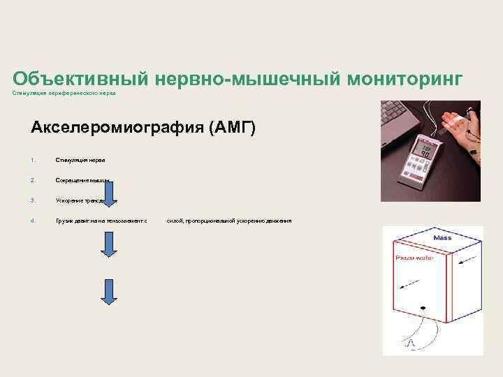 Объективный нервно-мышечный мониторинг Стимуляция периферического нерва Акселеромиография (АМГ) 1. Стимуляция нерва 2. Сокращение мышцы