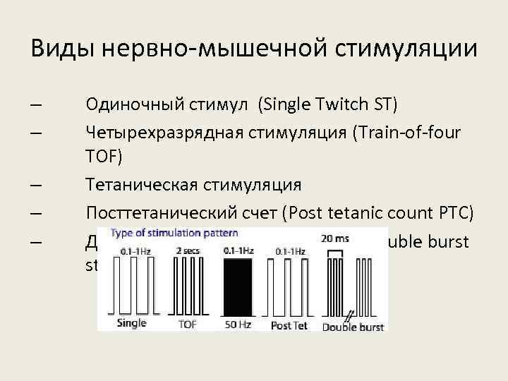 Виды нервно-мышечной стимуляции – – – Одиночный стимул (Single Twitch ST) Четырехразрядная стимуляция (Train-of-four