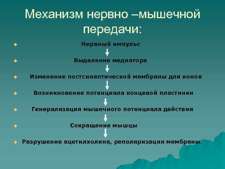 Механизм нервно –мышечной передачи: u Нервный импульс u Выделение медиатора u Изменение постсинаптической мембраны