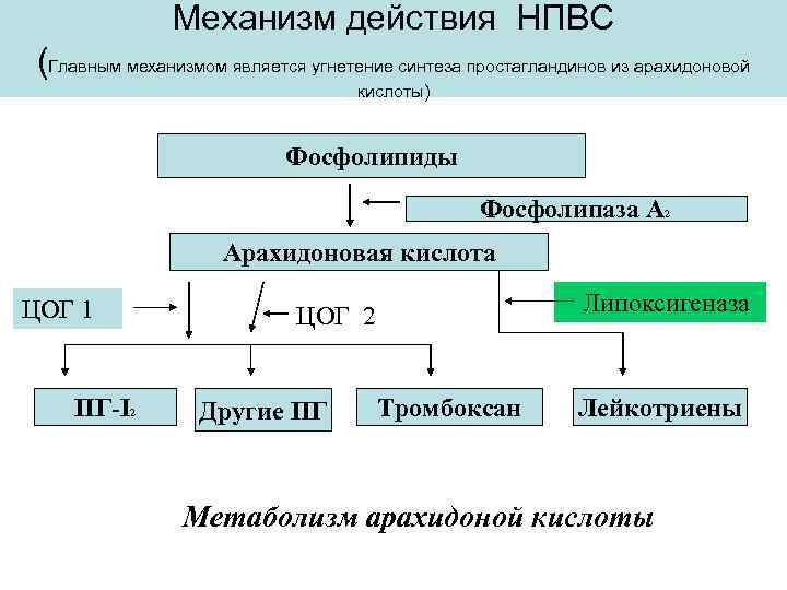 Механизм действия нпвс схема